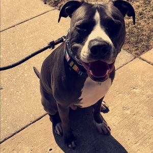 Meet your Posher, Elizabeth